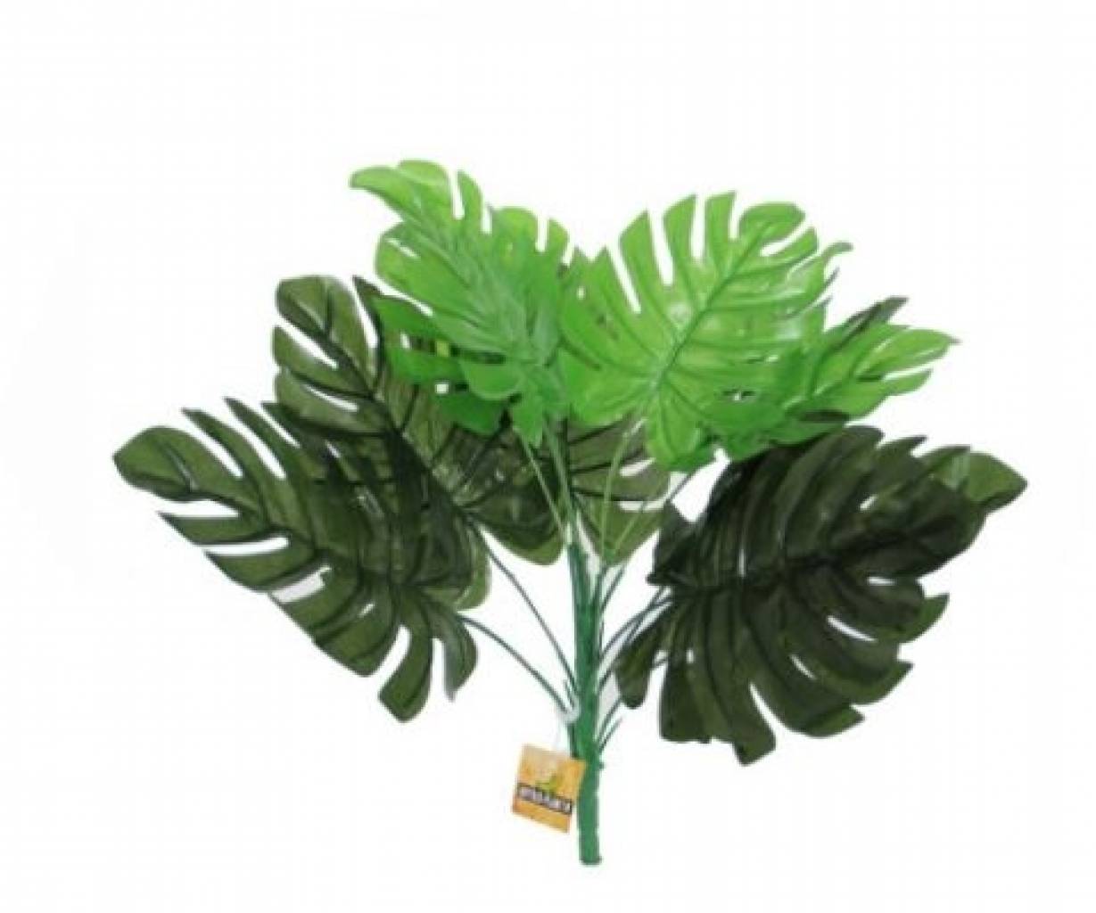 Repti Exotic Plant Philodendron